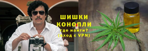МДПВ Алексеевка