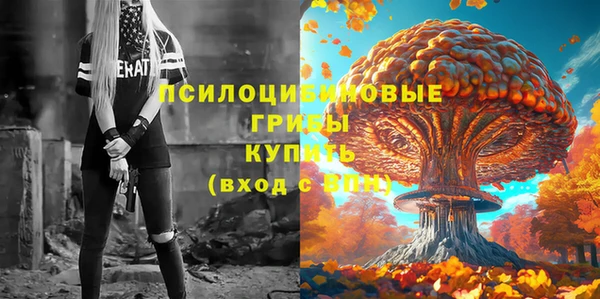 а пвп мука Алзамай