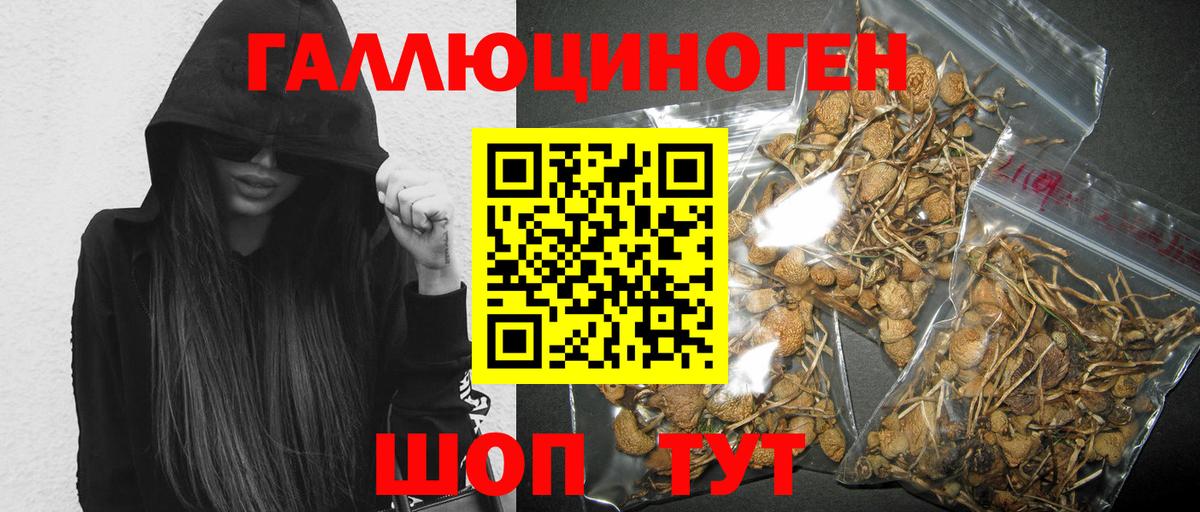 Галлюциногенные грибы мухоморы  Псилоцибиновые грибы GOLDEN TEACHER  Лобня  Вход с VPN 